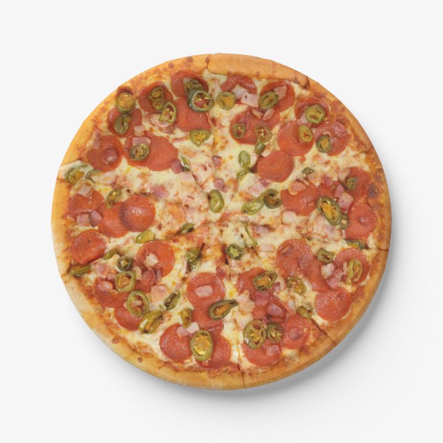 Fun Novelty Cool Cheese Pizza Grill Party Food Paper Plate (Front)