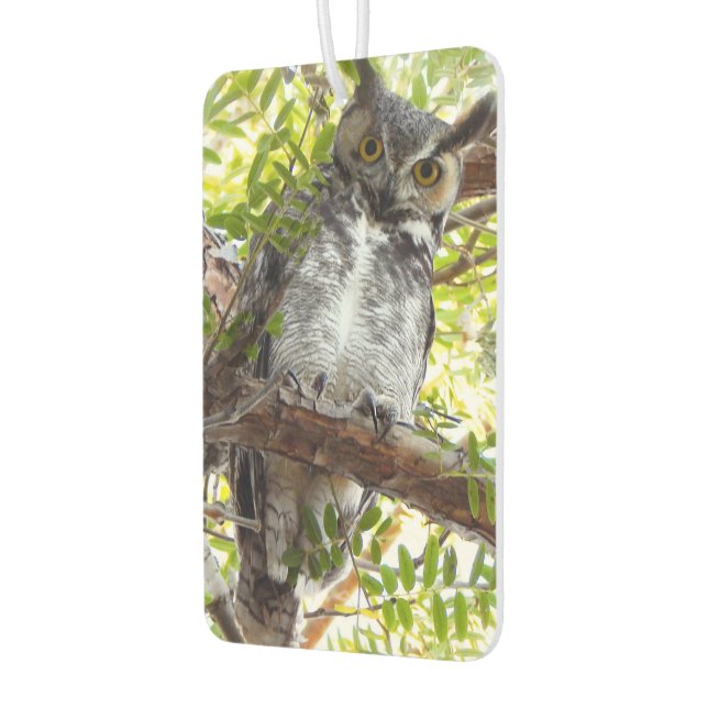 Fun Owl Looking At You Car Air Freshener (Left)