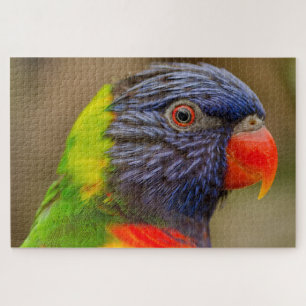Fun Parrot Colorful Difficult 1,000 Pieces Jigsaw Puzzle