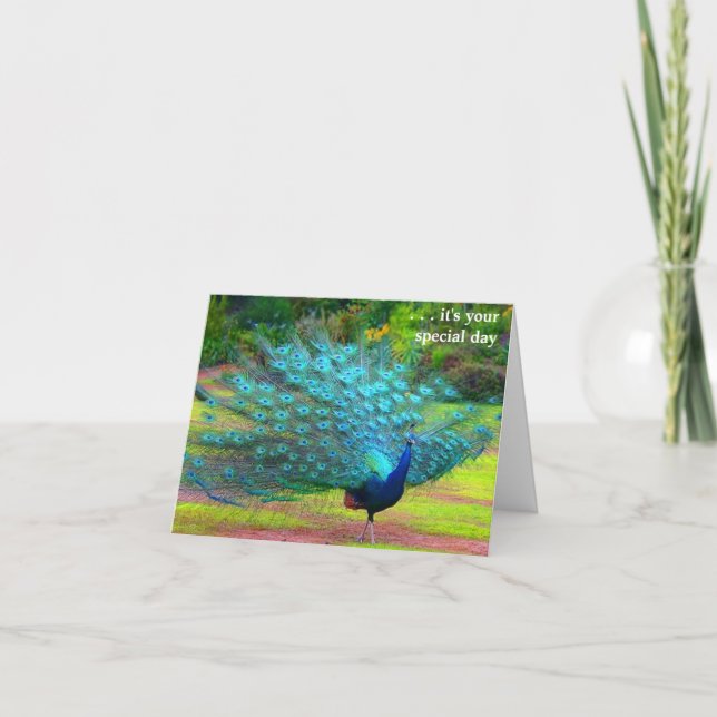 Fun Peacock Birthday Card (Front)