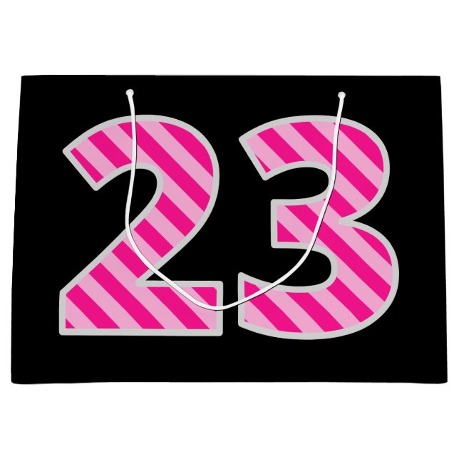 Fun Pink Striped "23"; Happy 23rd Birthday; Name Large Gift Bag (Front)