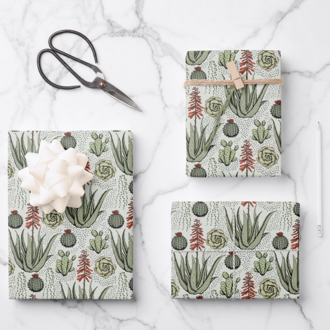 Fun Plant Lover Aloe Vera Plants Succulents Cactus Wrapping Paper Sheet (Front)