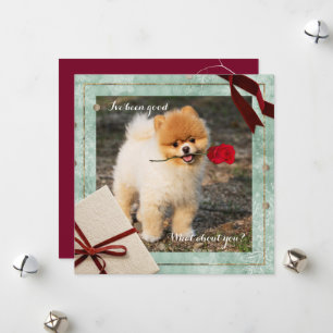 Fun Pomeranian  Christmas I've Been Good Flat Card
