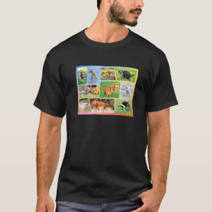 Fun Pooping Chihuahua Pet Owner Humour Dog T-Shirt