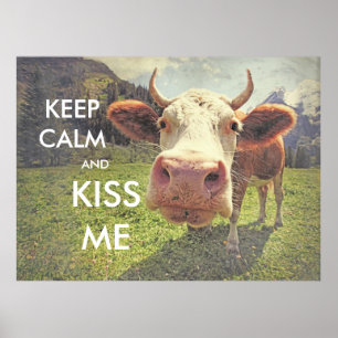 fun poster KEEP CALM