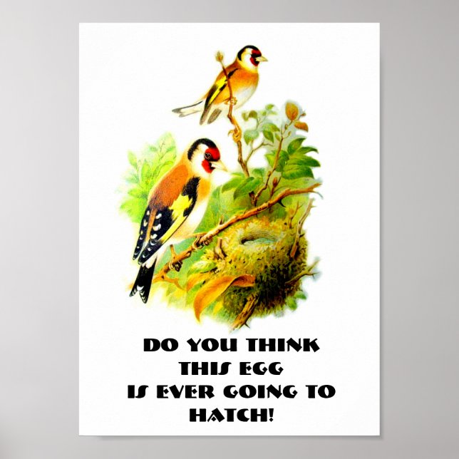 FUN POSTER -PATIENCE IS A VIRTUE - BIRDS IN WAIT! (Front)