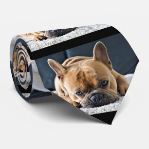 Fun Querky Cute French Bulldog Tie