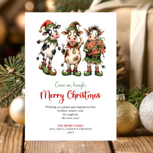 Fun Quirky Cows Playful Christmas Greeting Card