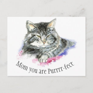 Fun Quote for that Perfect Mother Cute Cat Postcard