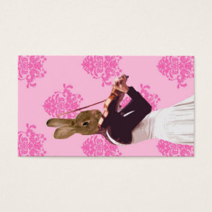 Fun rabbit playing violin