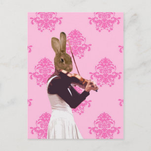 Fun rabbit playing violin postcard