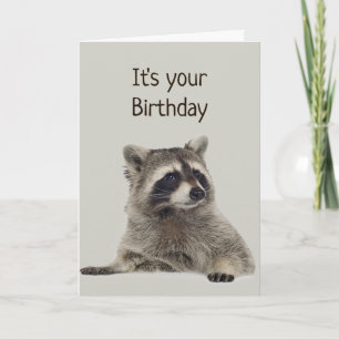 Fun Racoon Doesn't Have Money for Gift Card