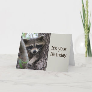 Fun Racoon In a tight spot Birthday  Card