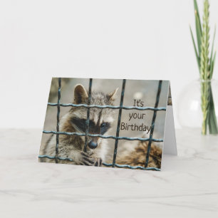 Fun Racoon You Captured My Heart Love You Card