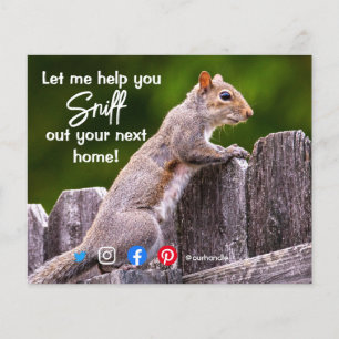 fun real estate sniff out your next home squirrel flyer