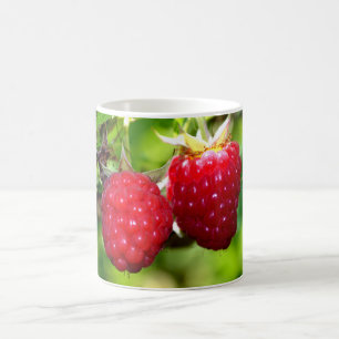 Fun red Raspberries Coffee Mug