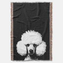 Fun Retro Chic Pop Art Poodle