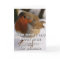 Fun Robin Christmas Card