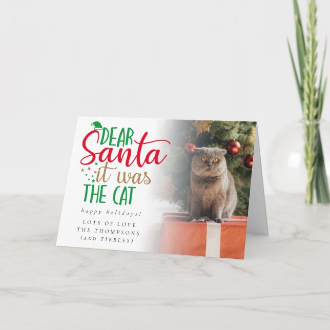 Fun Santa It Was The Cat Photo Holiday Card (Front)