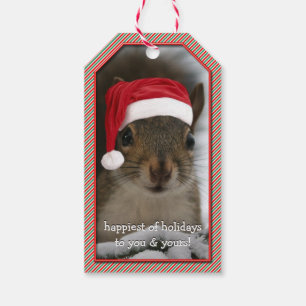 Fun Santa Squirrel Wearing Santa Hat Gift Tags