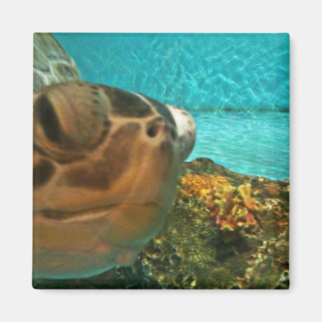 Fun Sea Turtle Selfie Magnet (Front)