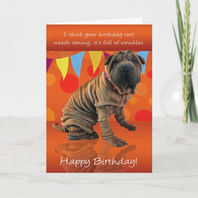Fun Shar Pei Birthday Card With Birthday Humor (Front)