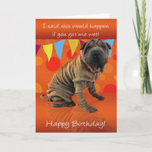 Fun Shar Pei Birthday Card With Birthday Humor