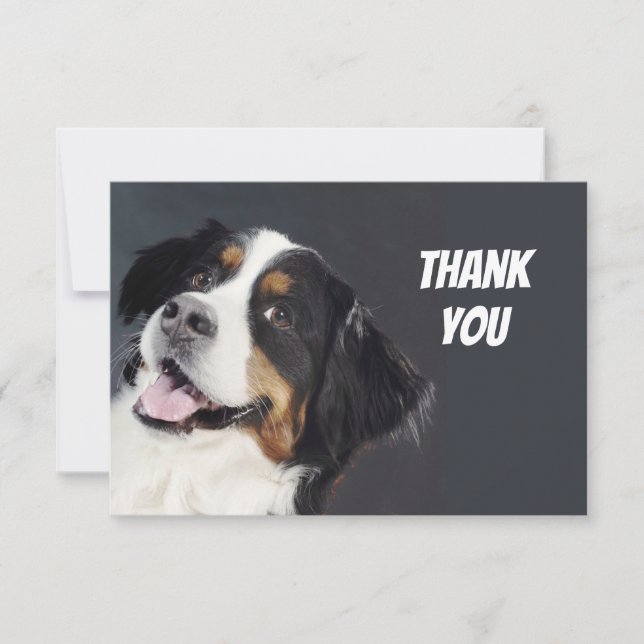 Fun Silly Casual Dog Thank You Card (Front)