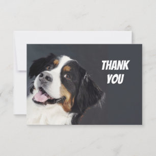 Fun Silly Casual Dog Thank You Card