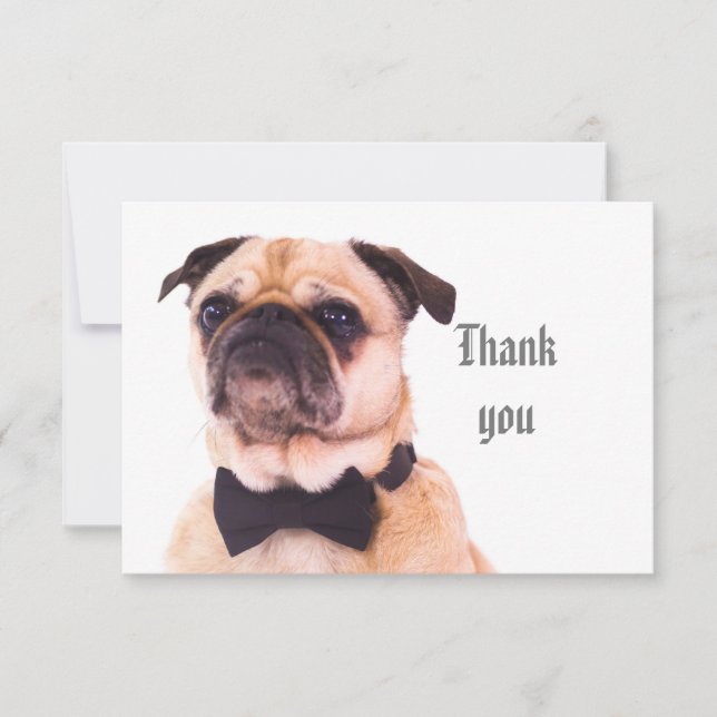 Fun Silly Formal Pug Dog Thank You (Front)