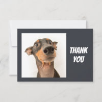 Fun Silly Shocked looking Dog Thank You