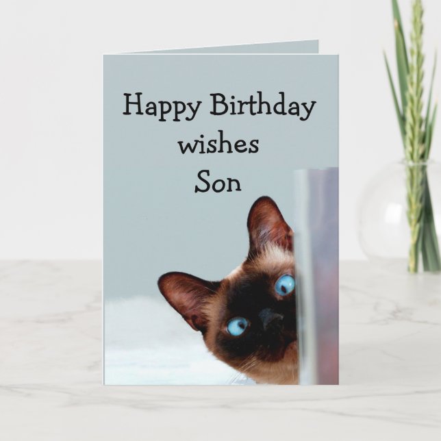 Fun Son Birthday Wishes Siamese Cat Card (Front)