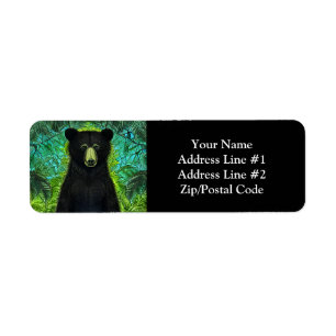 Fun Storybook Little Black Bear
