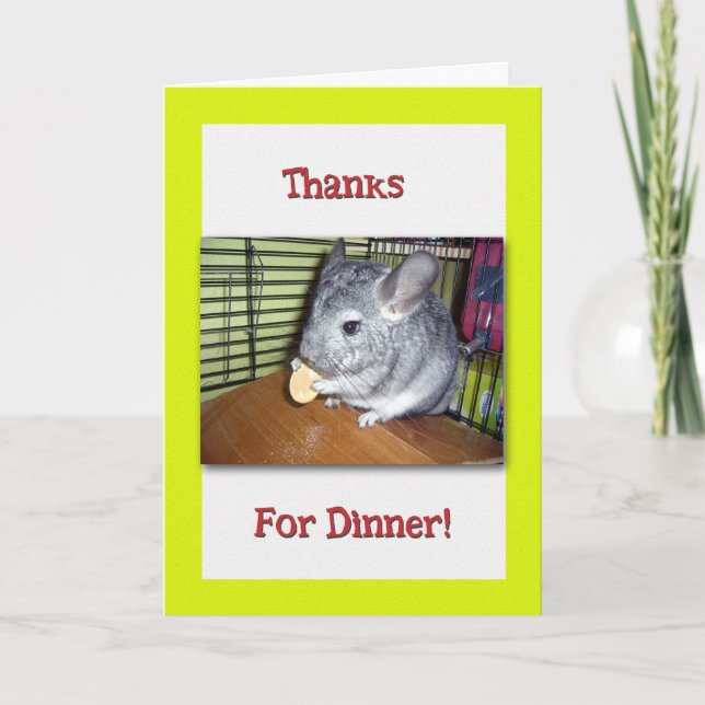 Fun Thank You For Dinner with Chinchilla Eating (Front)