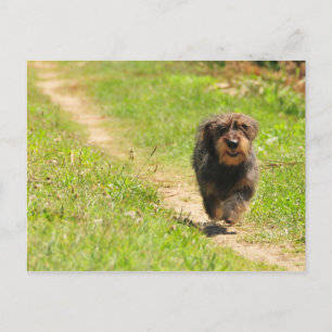 Fun time postcard