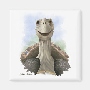 Fun Tortoise Cartoon Magnet