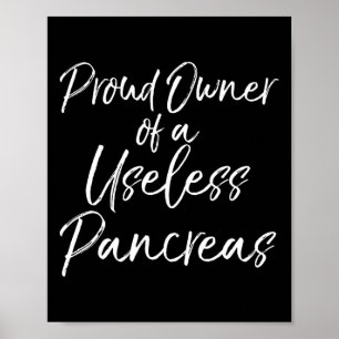 Fun Type 1 Diabetic Gift Proud Owner Of A Useless Poster