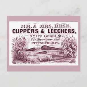 FUN Vintage MEDICAL  Leeches Ad CUPPERS & LEECHERS Postcard