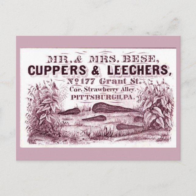 FUN Vintage MEDICAL  Leeches Ad CUPPERS & LEECHERS Postcard (Front)
