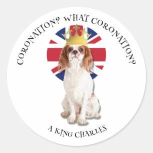 Fun WHAT CORONATION King Charles Spaniel Classic Round Sticker