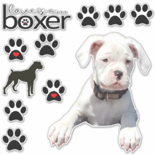 Fun White Boxer Dog Car Stickers