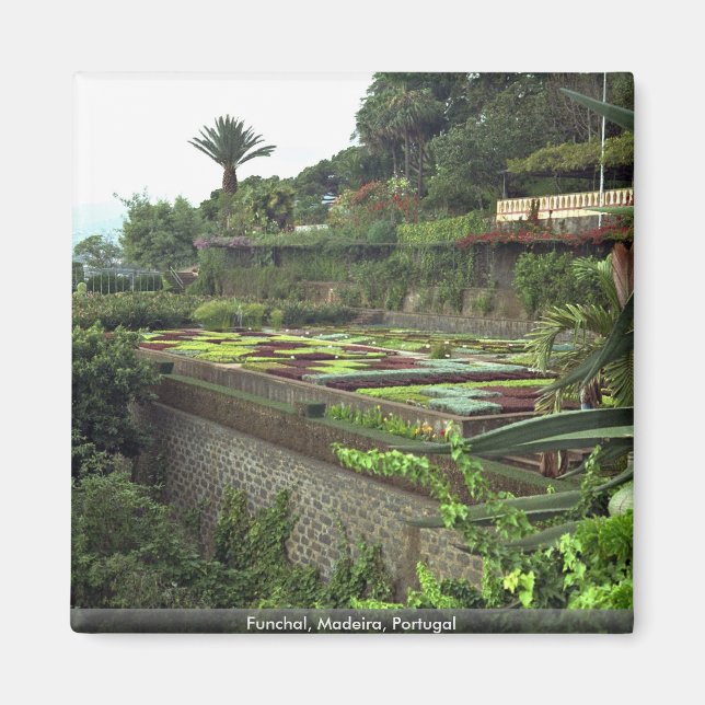 Funchal, Madeira, Portugal Magnet (Front)