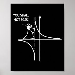 Function Asymptote Geek Math Pun Teacher You Shall Poster