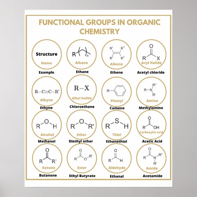 Functional groups of chemistry poster (Front)