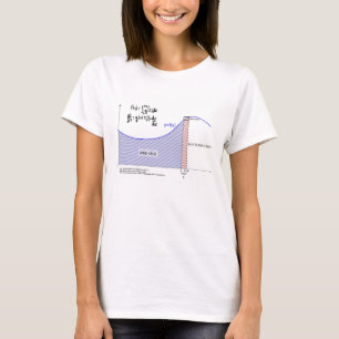 Fundamental Theorem of Calculus T-Shirt