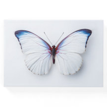 Funeral guest book butterfly
