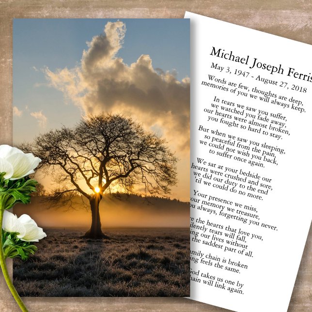 Funeral Majestic Tree Prayer Sympathy Cards (sunset, sunrise, tree, celebration of life, in loving memory of, prayer cards for bereavement)