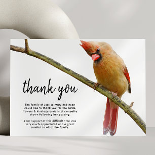 Funeral Thank You Note   Cardinal Bird