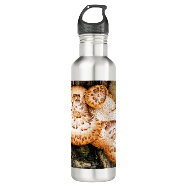 FUNGI    710 ML WATER BOTTLE (Front)