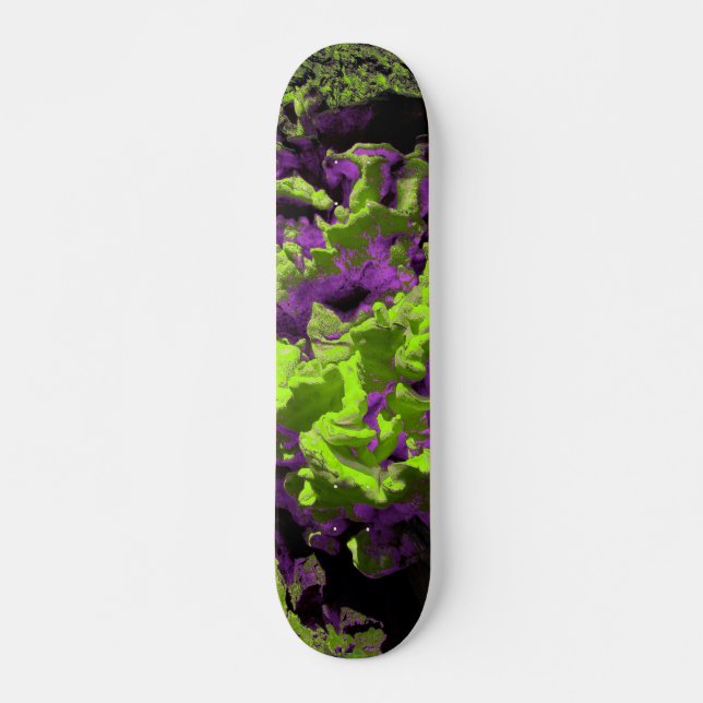 FUNGI BOARD SKATEBOARD (Front)